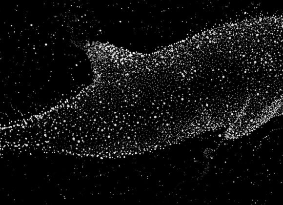 bandeau_site_la_baleine La baleine qui nageait après sa chance