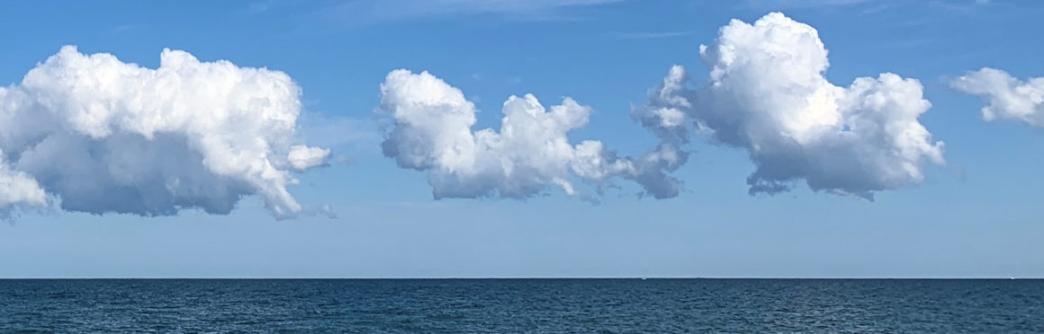 Respiration