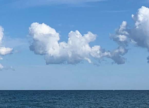 Respiration