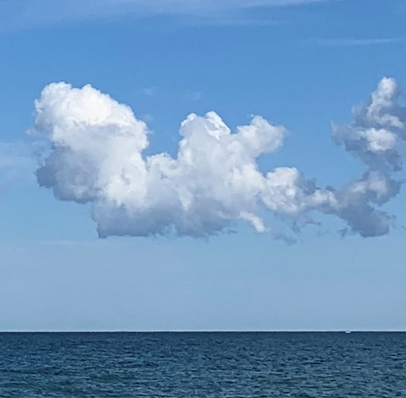 Respiration
