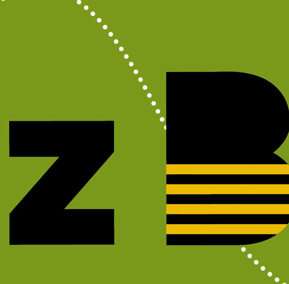 Bzz Bzz party